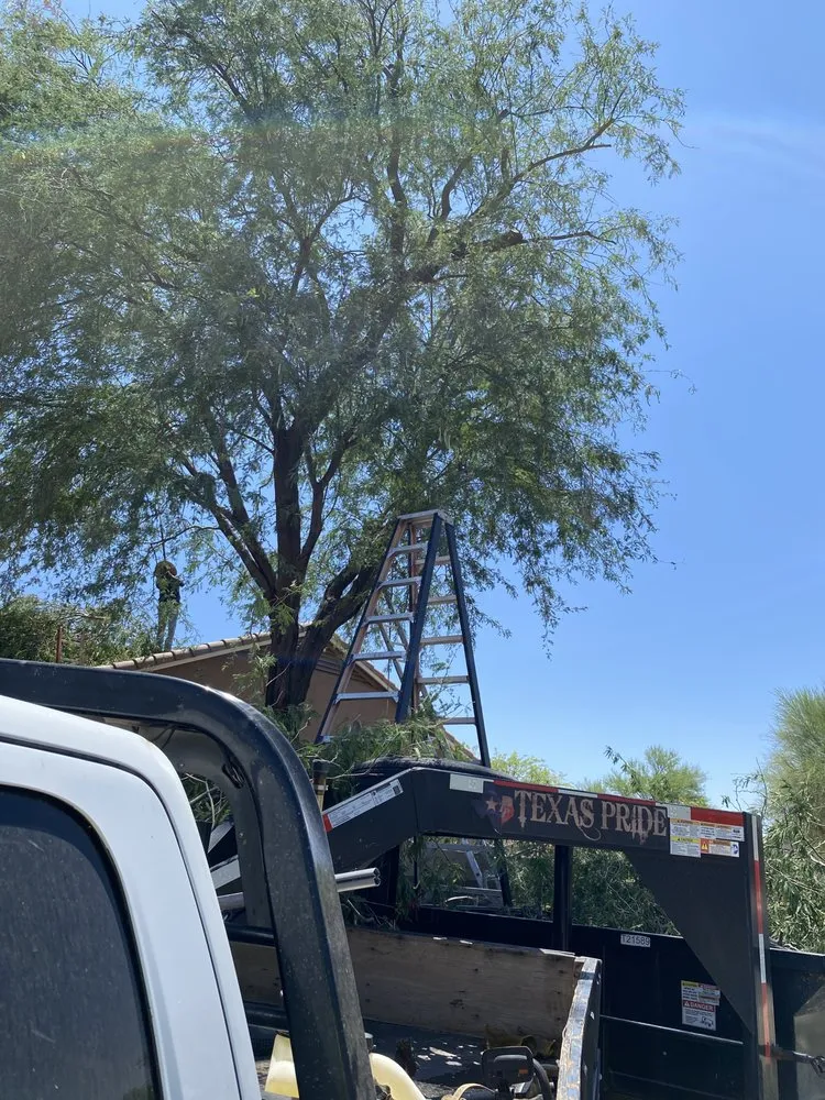 Custom outdoor landscaping near you across Maricopa, AZ - Roberto’s Landscaping