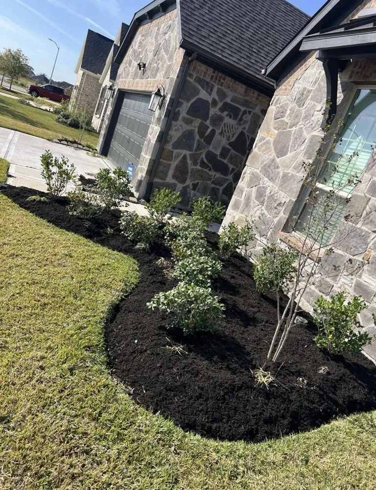 Local outdoor landscaping in Rosenberg, TX - Roberto’s Lawn & Property Services