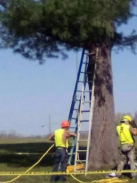 Reliable residential landscaping experts serving Frenchburg, KY - Roberts & Friends Landscaping