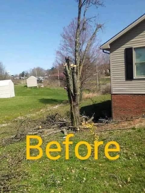 Local landscaping services in Frenchburg, KY by Roberts & Friends Landscaping