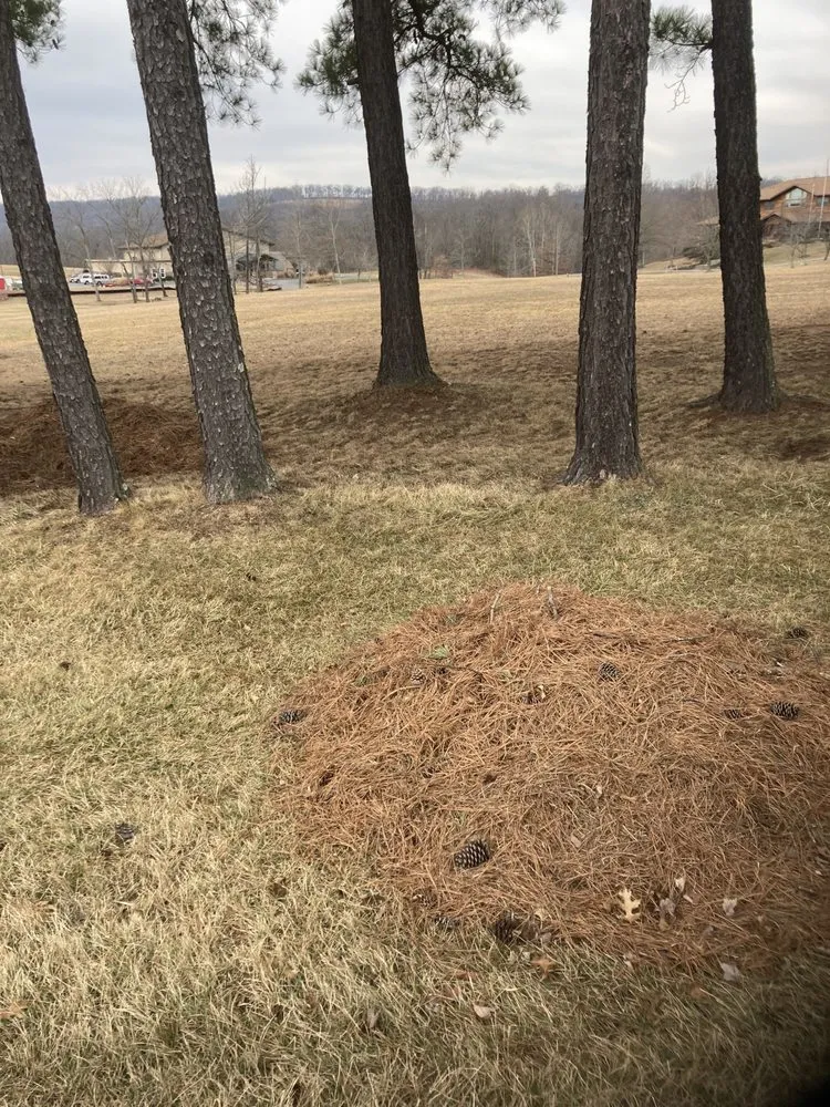 Reliable lawn care service experts serving Berkeley Springs, WV - Robert’s 1st Class Home Services