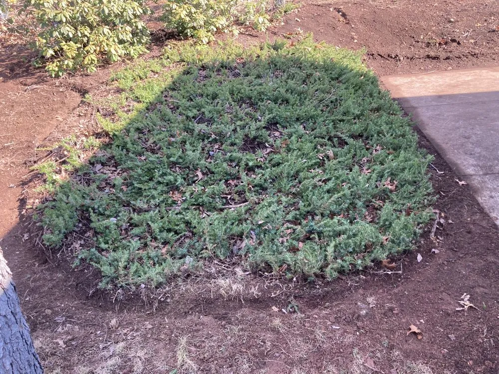 Affordable lawn care service near you across Berkeley Springs, WV - Robert’s 1st Class Home Services