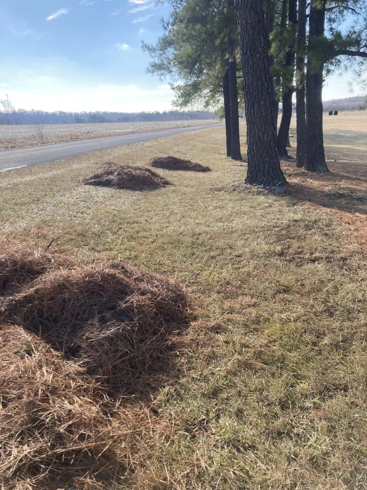 Local lawn mowing service in Berkeley Springs, WV by Robert’s 1st Class Home Services