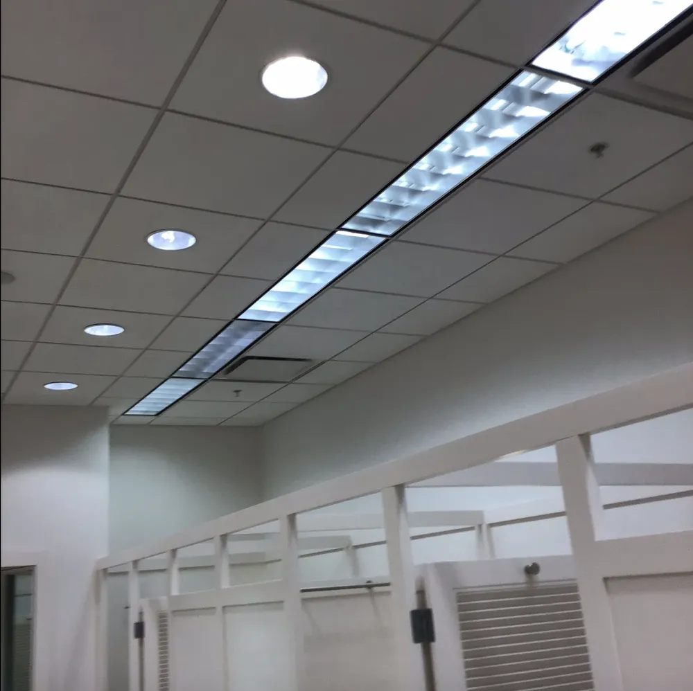 Reliable outdoor landscaping for outdoor upgrades across Savannah, GA - Roberts Cleaning Service