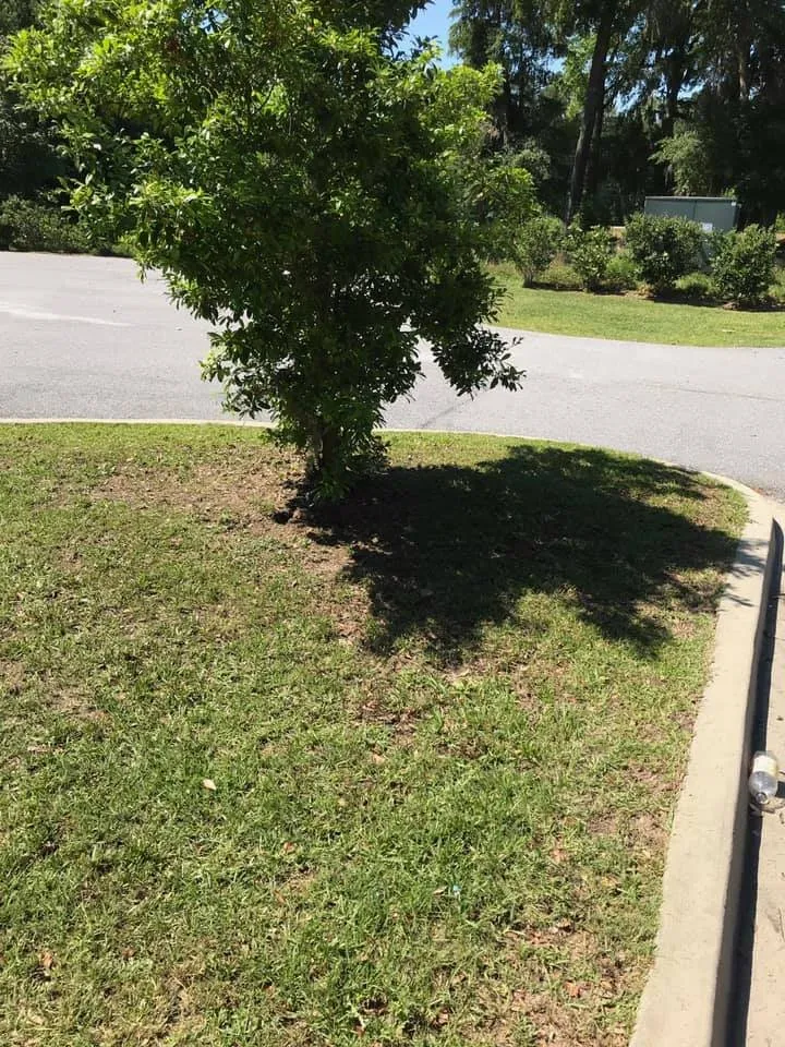 Affordable garden landscaping in Savannah, GA by Roberts Cleaning Service