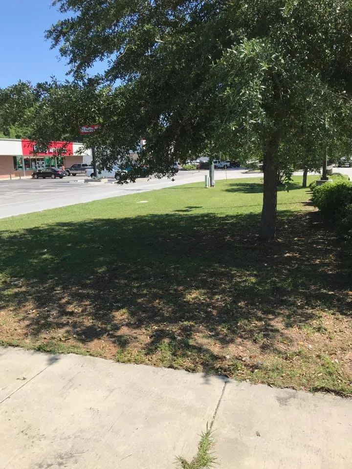 Expert outdoor landscaping for beautiful yards in Savannah, GA by Roberts Cleaning Service