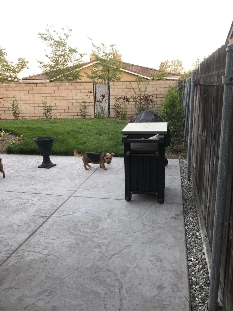 Custom outdoor landscaping experts serving Whittier, CA - Robert's Complete Care