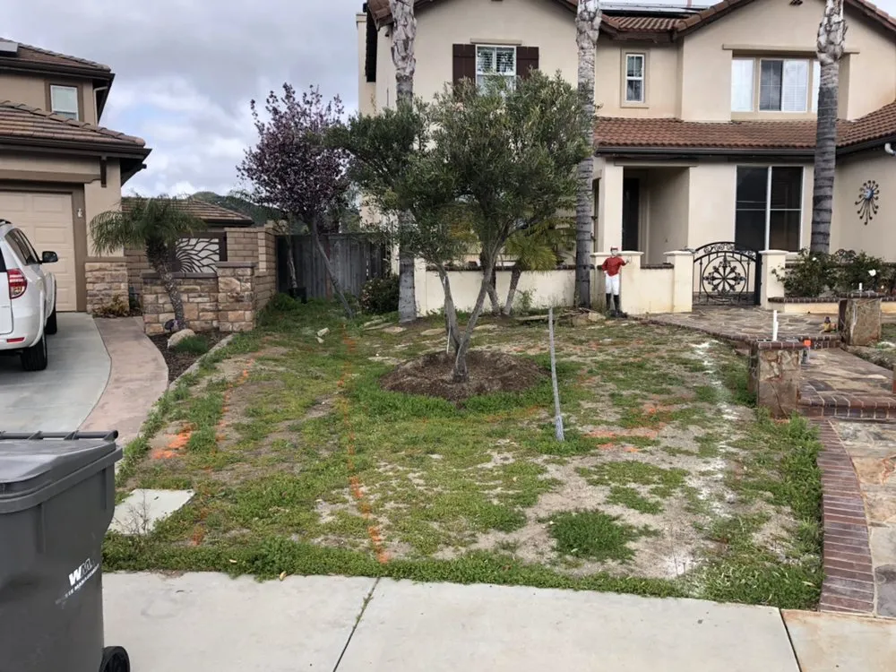 Affordable yard cleanup service for residential properties across Lake Elsinore, CA - Robert's Custom Landscape