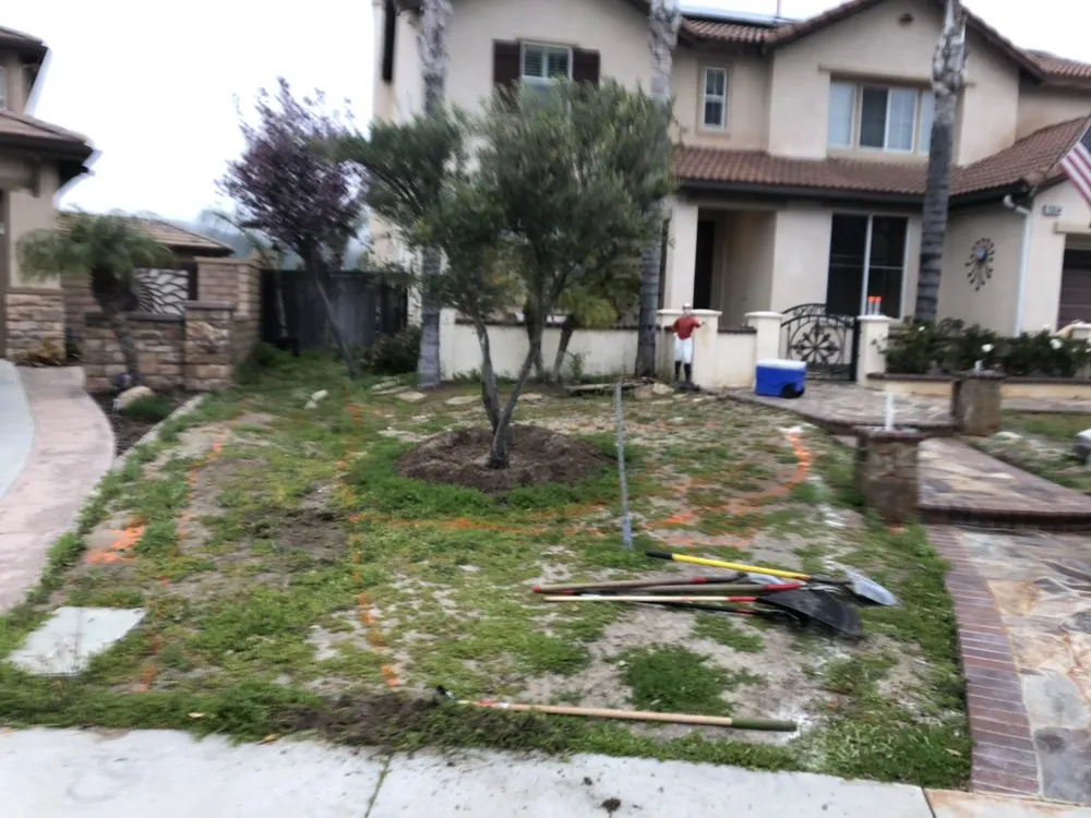 Reliable yard cleanup service for beautiful yards across Lake Elsinore, CA - Robert's Custom Landscape