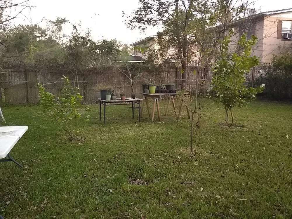 Local landscape installation in Jacksonville, FL - Roberts Cutting Edge