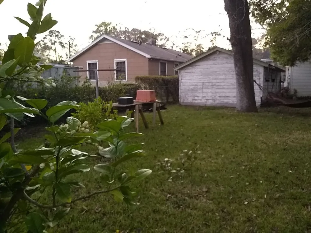 Top-rated yard cleanup service for homes in Jacksonville, FL by Roberts Cutting Edge