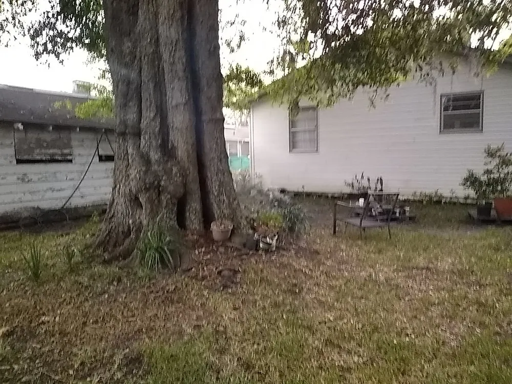 Reliable landscaping services with custom design across Jacksonville, FL - Roberts Cutting Edge