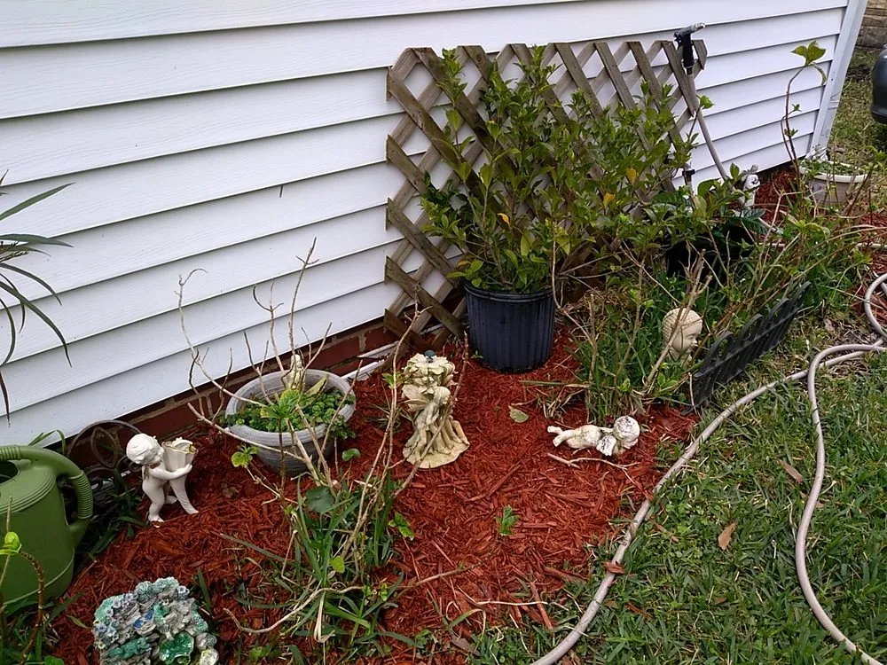 Top-rated residential landscaping in Jacksonville, FL - Roberts Cutting Edge