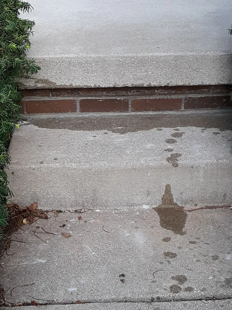 Custom landscape design experts serving Springfield, IL - Roberts Handyman Services