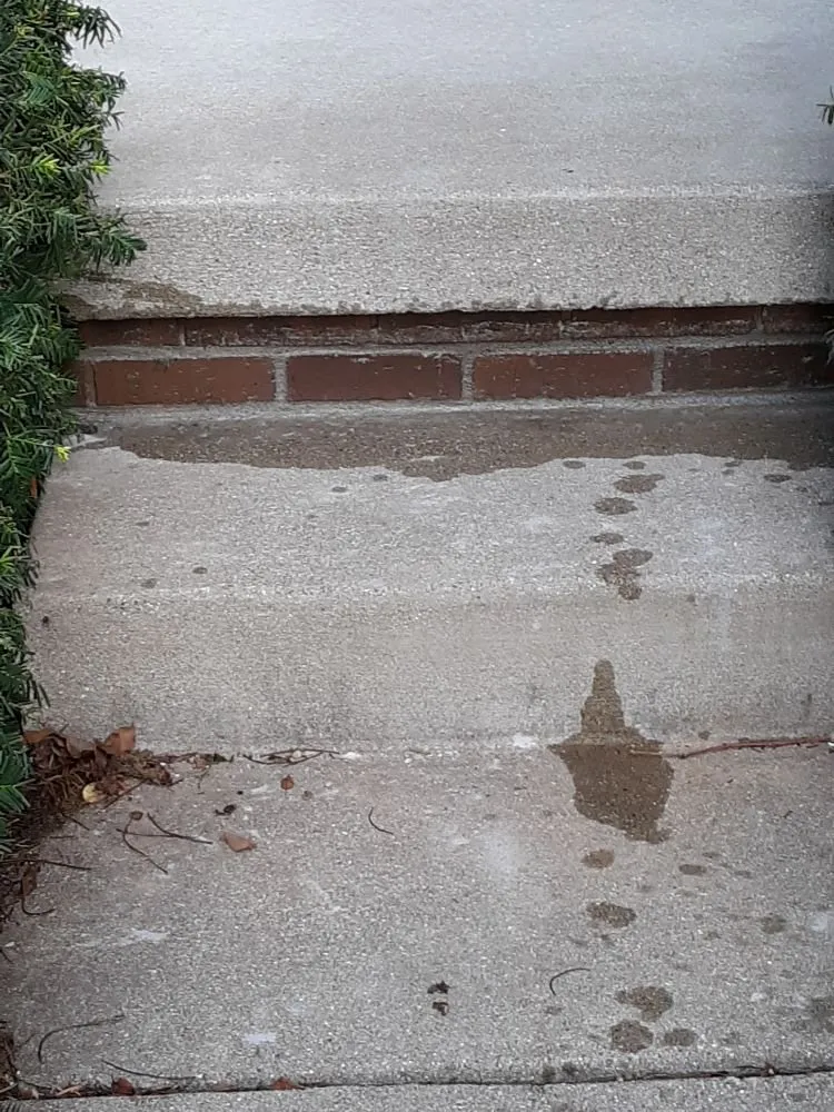 Local landscape installation in Springfield, IL - Roberts Handyman Services