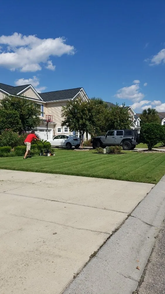 Reliable landscaping services experts serving Myrtle Beach, SC - Roberts Home & Lawn Services