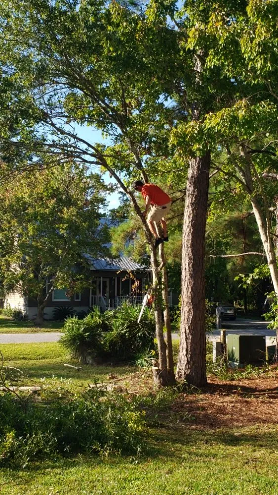 Reliable landscaping services in Myrtle Beach, SC - Roberts Home & Lawn Services