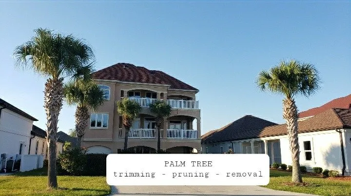 Top-rated landscape design experts serving Myrtle Beach, SC - Roberts Home & Lawn Services