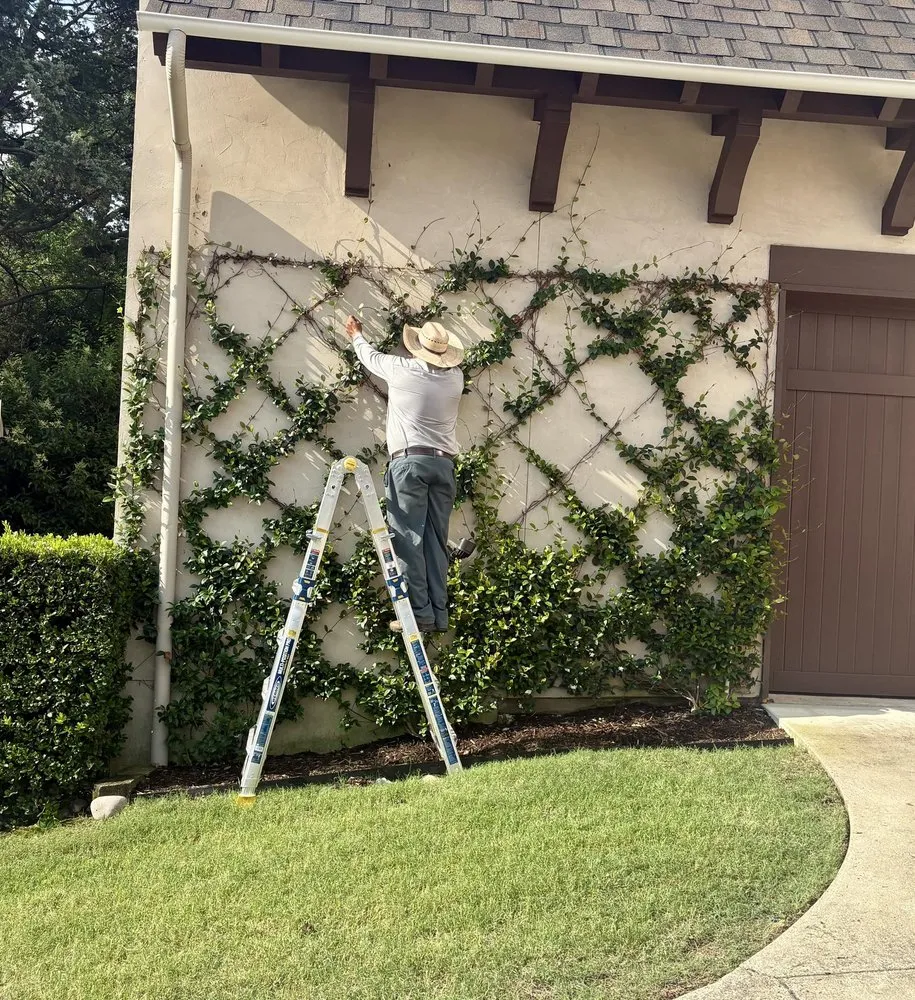 Expert yard cleanup service for homes in Dallas, TX by Roberts Landscape Co