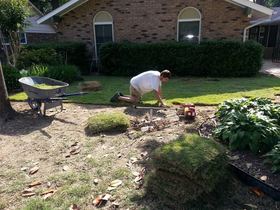 Professional yard cleanup service experts serving Memphis, TN - Robert's Landscaping & Design