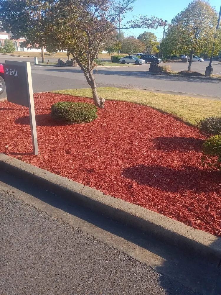 Top-rated residential landscaping for outdoor upgrades in Memphis, TN by Robert's Landscaping & Design