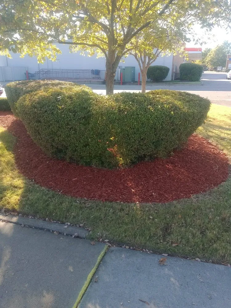 Affordable lawn mowing service for year-round maintenance across Memphis, TN - Robert's Landscaping & Design