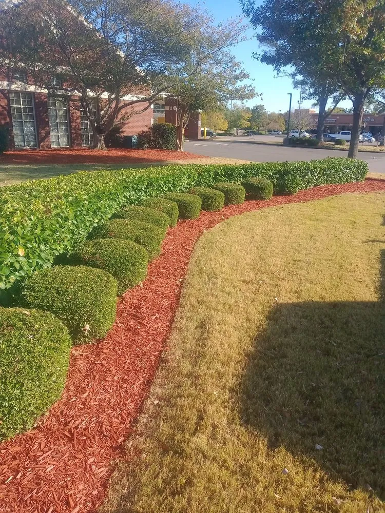 Expert yard cleanup service near you across Memphis, TN - Robert's Landscaping & Design