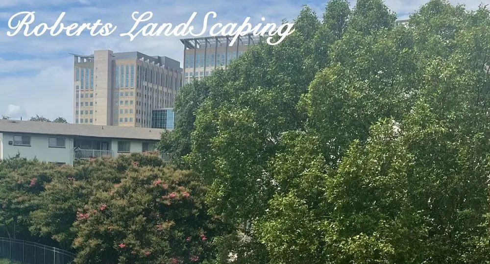 Top-rated yard maintenance for year-round maintenance in Alexandria, VA by Roberts Landscaping