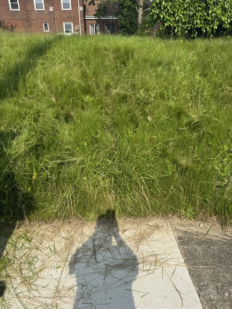 Reliable yard cleanup service near you in Uniontown, OH by Robert's Landscaping and Exterior Repairs