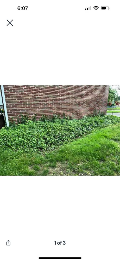 Affordable outdoor landscaping experts serving Uniontown, OH - Robert's Landscaping and Exterior Repairs