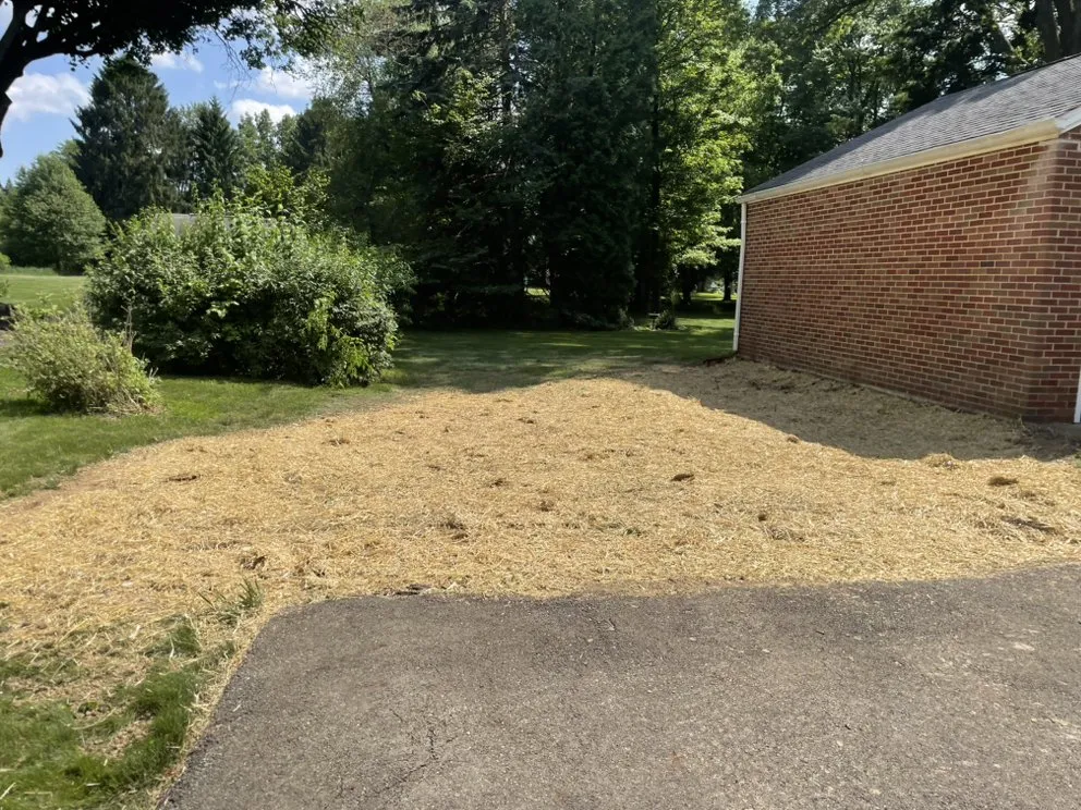 Custom lawn care service in Uniontown, OH by Robert's Landscaping and Exterior Repairs