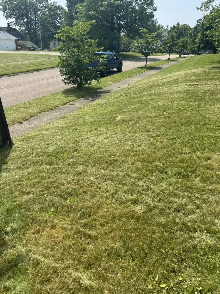 Professional landscaping services for beautiful yards in Uniontown, OH by Robert's Landscaping and Exterior Repairs