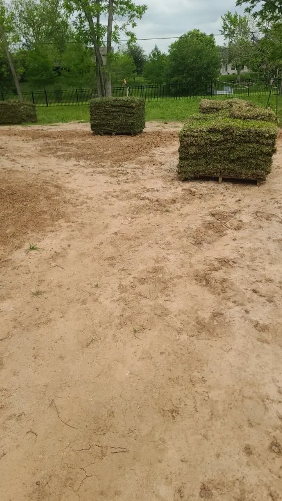 Trusted lawn care service for year-round maintenance across Cypress, TX - Roberts Landscaping