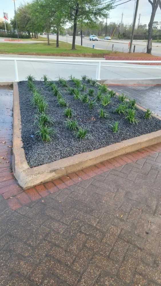 Expert landscaping services in Cypress, TX by Roberts Landscaping