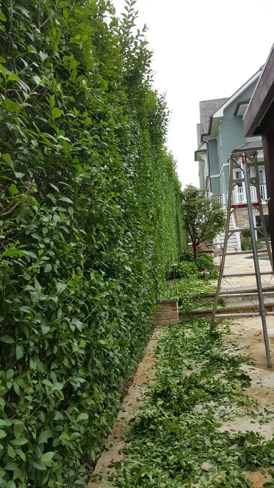 Local outdoor landscaping near you in Jackson Township, NJ by Robert's Landscaping