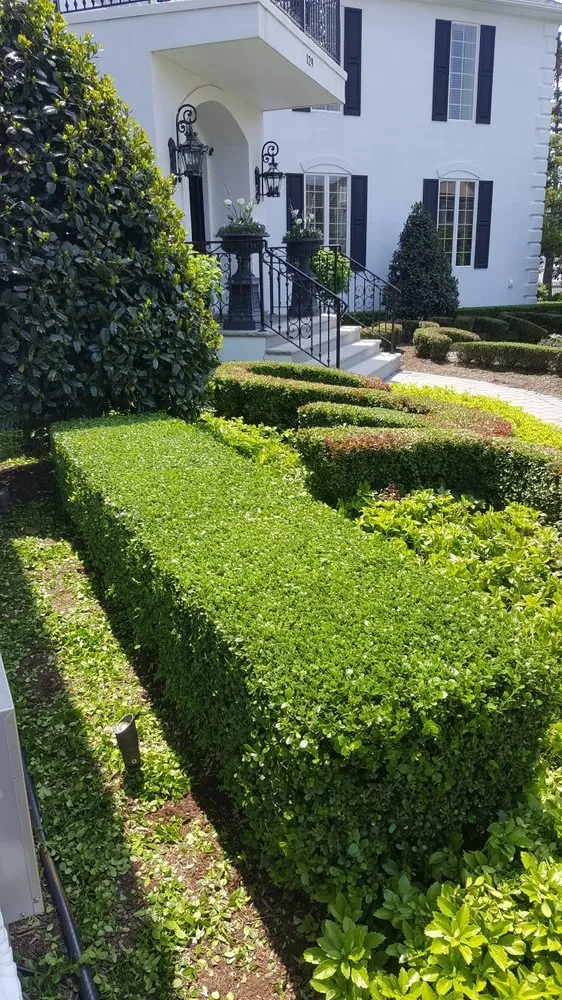 Trusted landscaping services experts serving Jackson Township, NJ - Robert's Landscaping