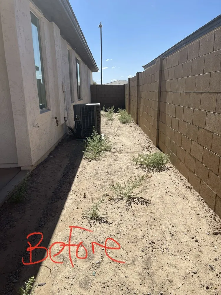 Professional yard maintenance in Mesa, AZ by Roberts Landscaping Services