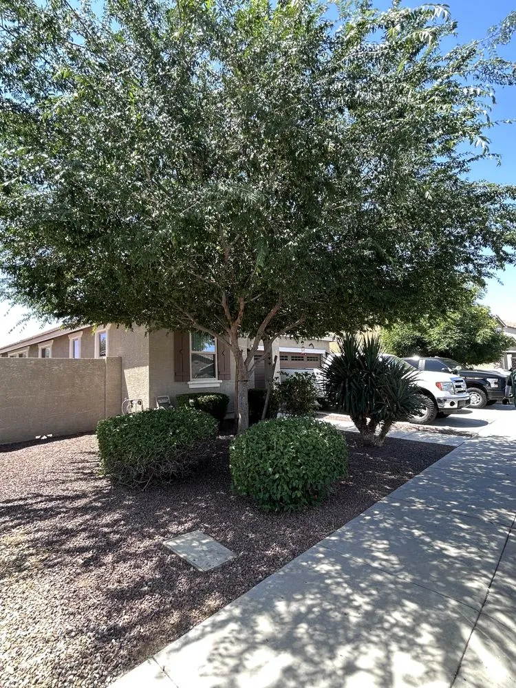 Professional landscape design for beautiful yards across Mesa, AZ - Roberts Landscaping Services