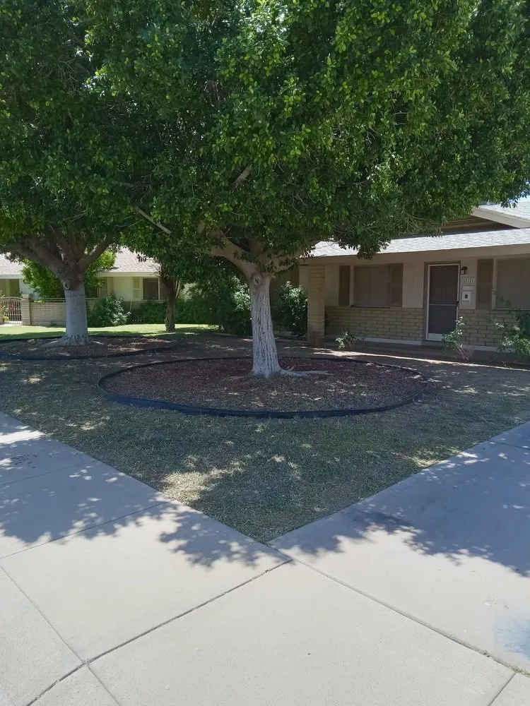 Expert outdoor landscaping in Mesa, AZ by Roberts Landscaping Services