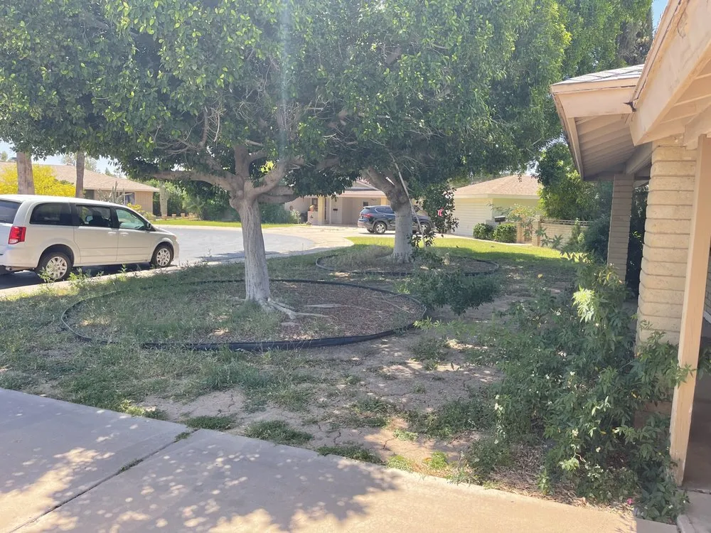 Expert lawn care service for outdoor upgrades in Mesa, AZ by Roberts Landscaping Services