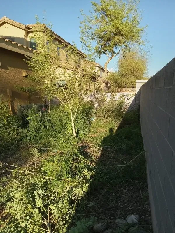 Trusted landscaping services in Mesa, AZ by Roberts Landscaping Services