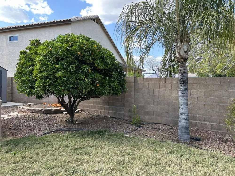 Reliable residential landscaping in Mesa, AZ by Roberts Landscaping Services