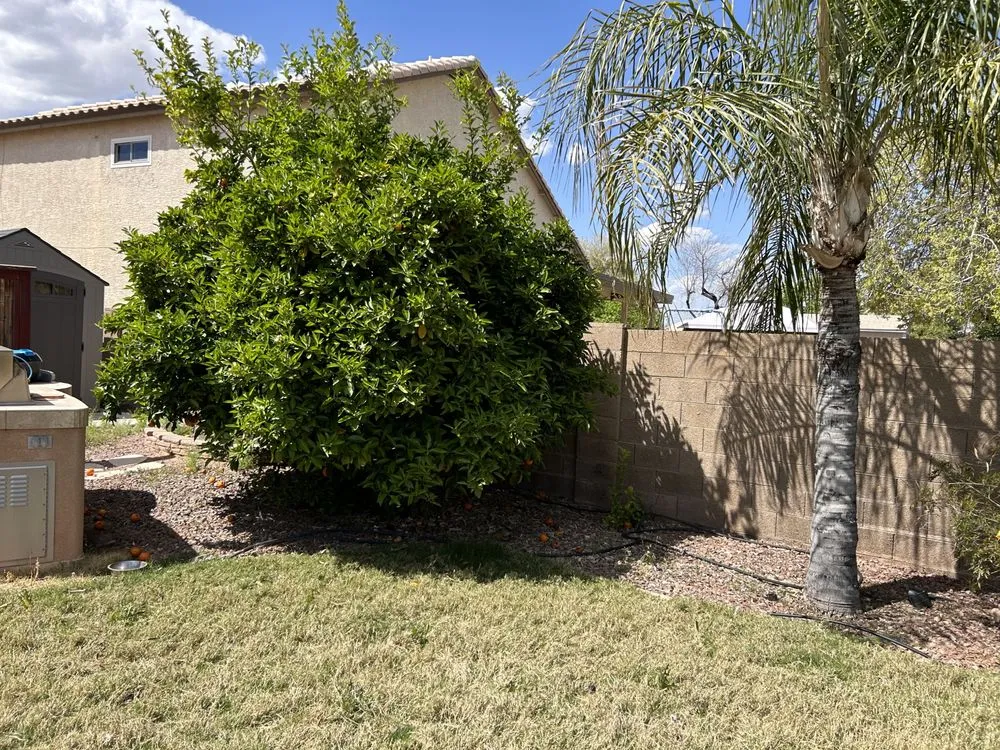 Professional garden landscaping for homes in Mesa, AZ by Roberts Landscaping Services