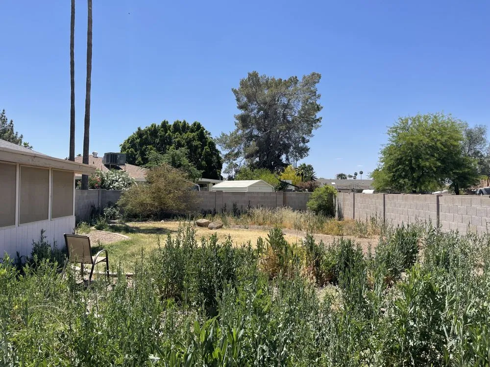 Affordable outdoor landscaping for year-round maintenance across Mesa, AZ - Roberts Landscaping Services