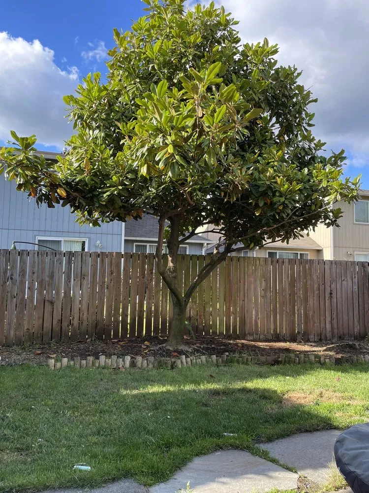 Custom lawn care service near you in Shelton, WA by Roberts Lawn & Home Care