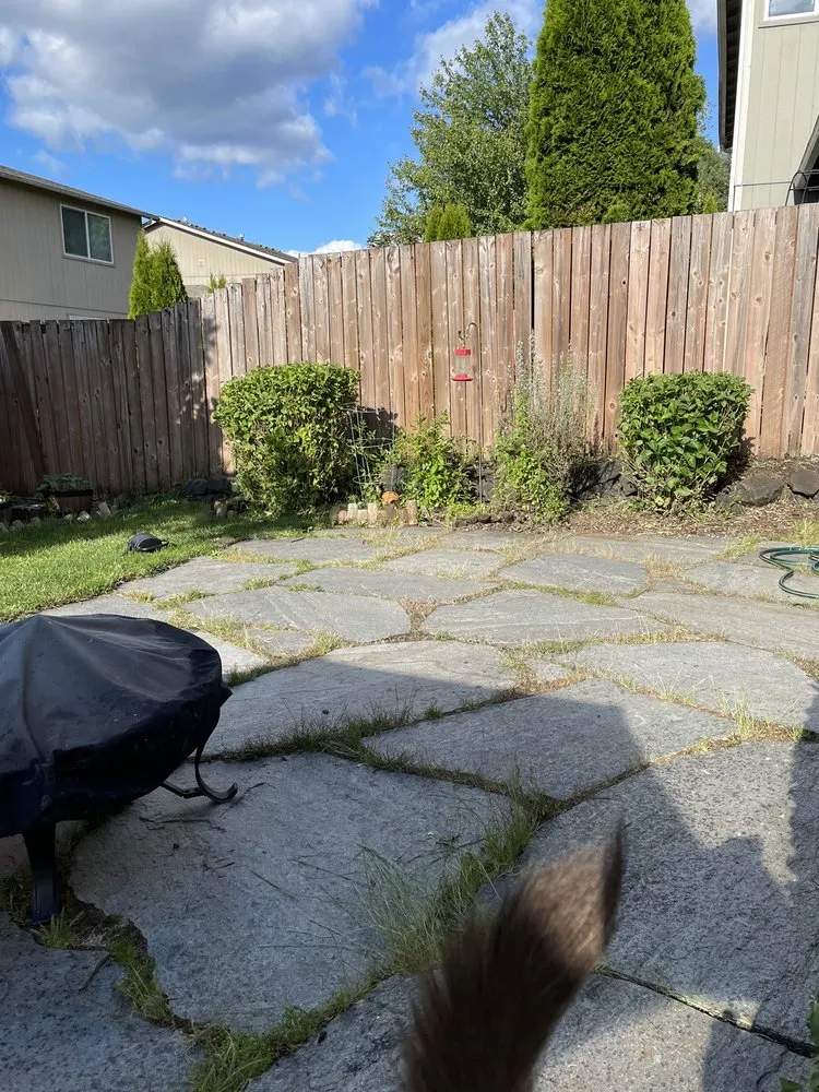 Local landscape design in Shelton, WA - Roberts Lawn & Home Care