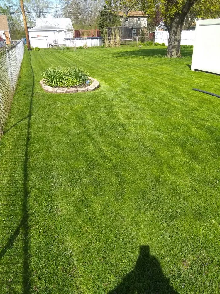Trusted yard maintenance experts serving Chicago, IL - Robert's Lawn Care