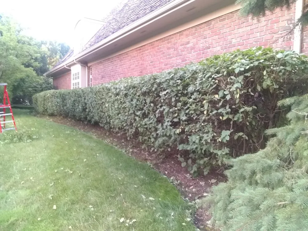 Custom landscape design experts serving Chicago, IL - Robert's Lawn Care