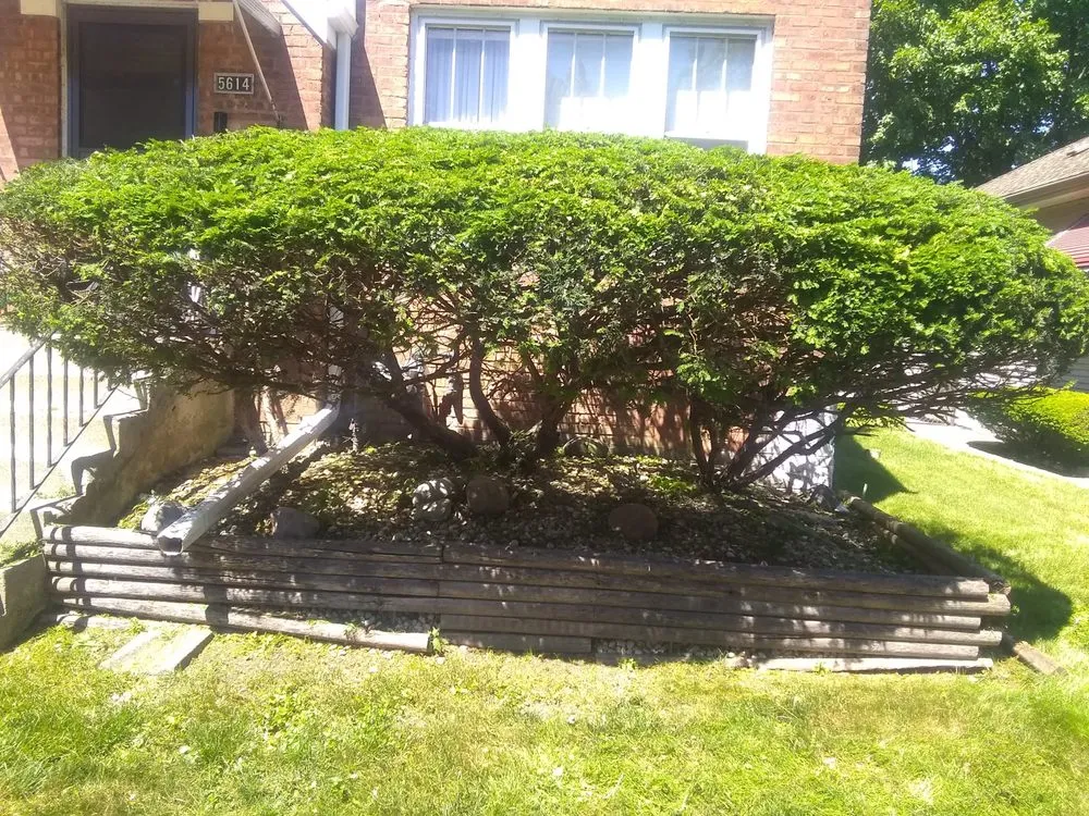 Professional lawn care service for residential properties across Chicago, IL - Robert's Lawn Care