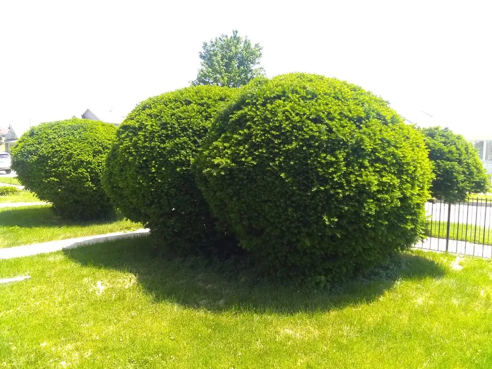 Professional garden landscaping with custom design in Chicago, IL by Robert's Lawn Care